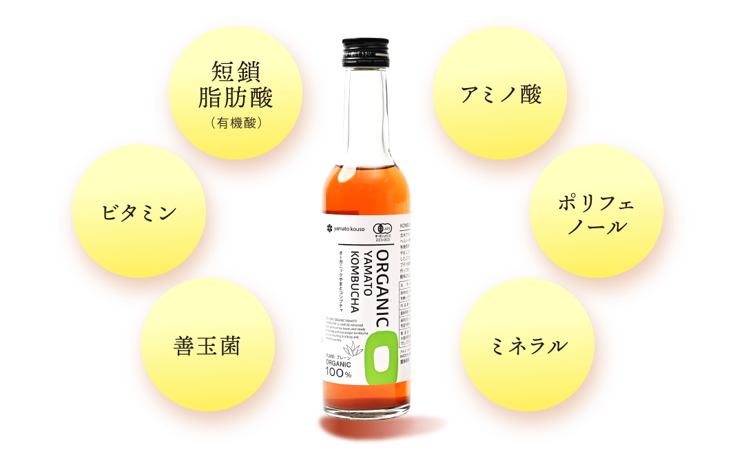 アミノ酸 ポリフェノール ミネラル 善玉菌 ビタミン 短鎖脂肪酸（有機酸）
