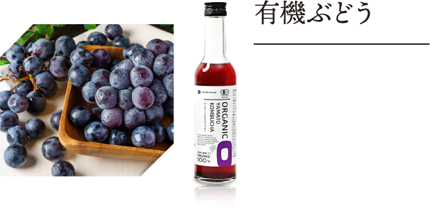 やまとコンブチャ | 大和酵素 公式オンラインストア