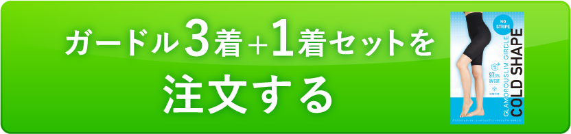 ガードル3+1着セット