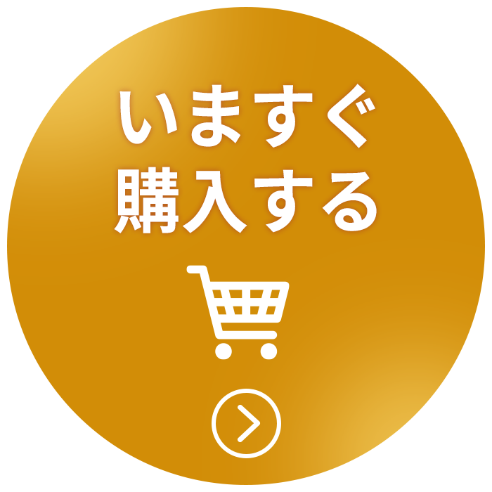 今すぐ購入する