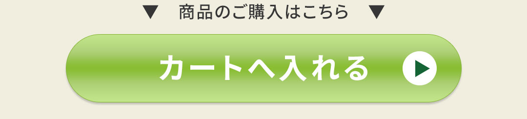 足元から骨格・背骨を整えるサンダル ボタン