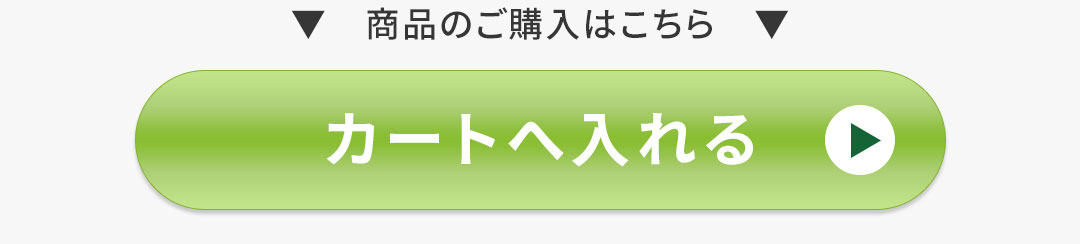 足元から骨格・背骨を整えるサンダル ボタン