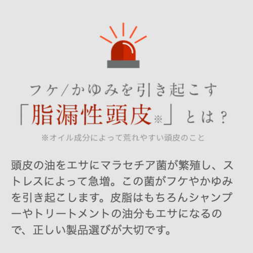 カダソンスカルプトリートメント | ワイズ製薬【公式】