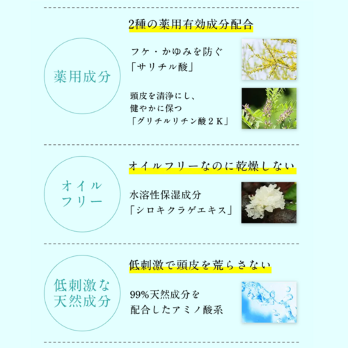 でかソン（KADASONスカルプシャンプー詰替用） | ワイズ製薬【公式】