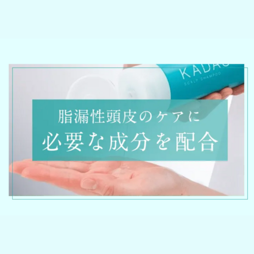 でかソン（KADASONスカルプシャンプー詰替用） | ワイズ製薬【公式】