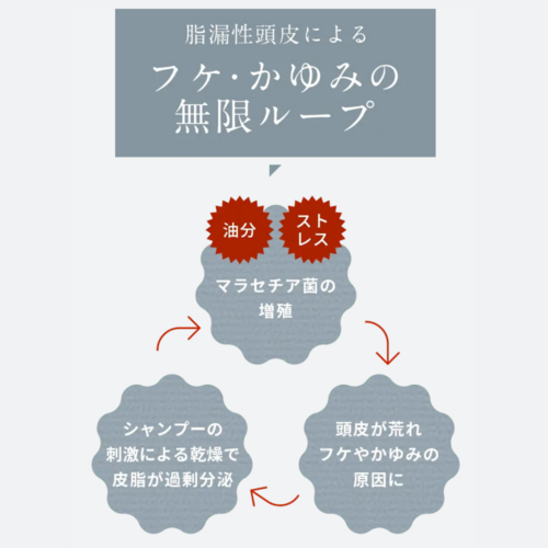 リピーター限定500円OFF】でかソン（KADASONスカルプトリートメント詰