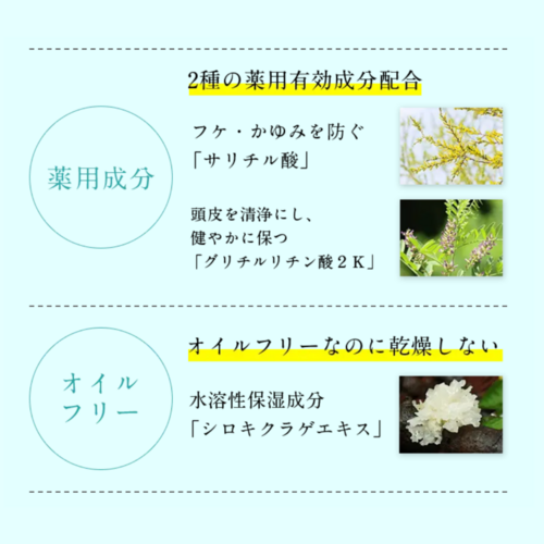リピーター限定500円OFF】でかソン（KADASONスカルプトリートメント詰