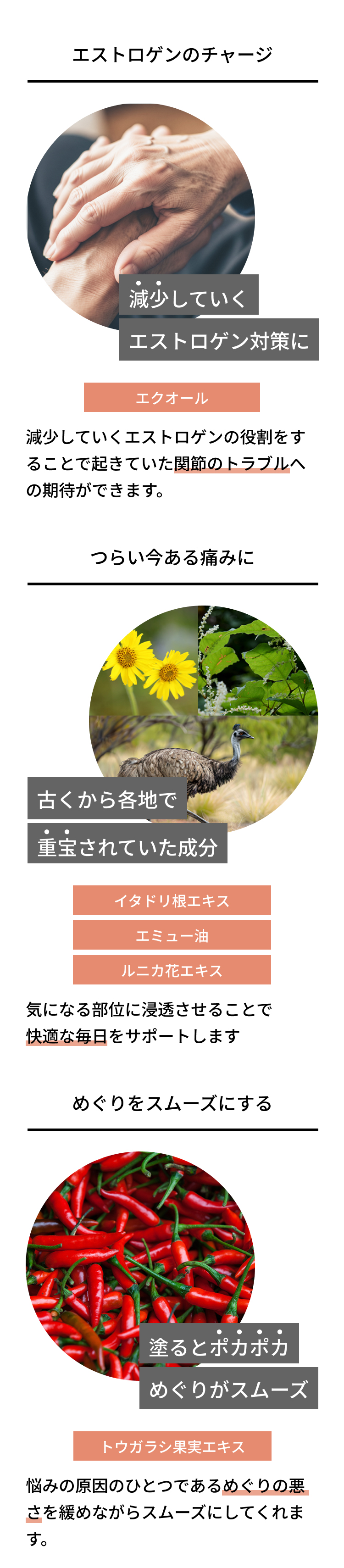 有効成分。エストロゲンのチャージには「エクオール」。減少していくエストロゲンの役割をすることで起きていた関節のトラブルへの期待ができます。つらい今ある痛みには「イタドリ根エキス・エミュー油・ルニカ花エキス」。気になる部分に浸透させることで快適な毎日をサポートします。めぐりをスムーズにする「トウガラシ果実エキス」悩みの原因のひとつであるめぐりの悪さを緩めながらスムーズにしてくれます。
