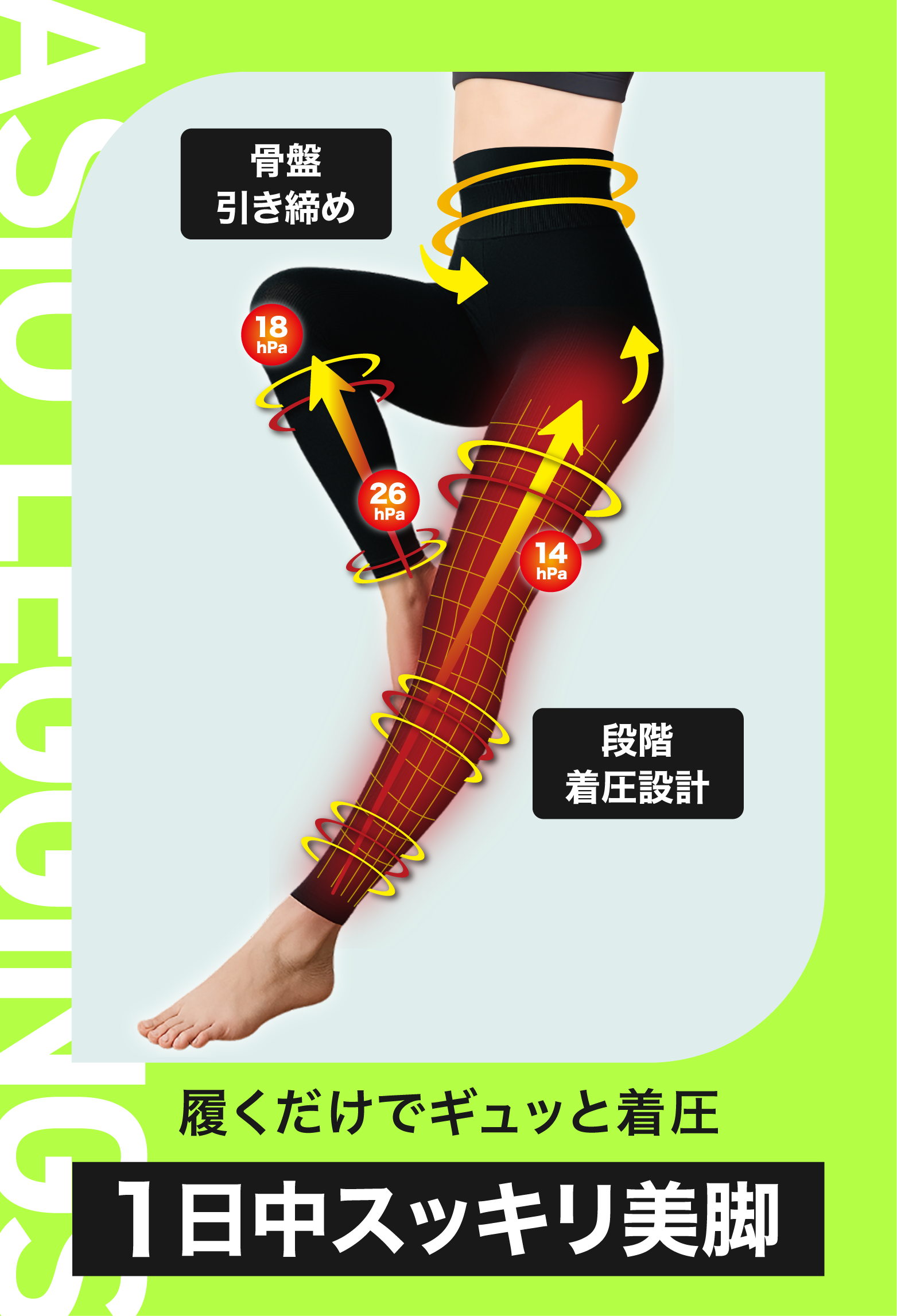 履くだけでギュッと着圧 1日中スッキリ美脚