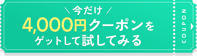 初回限定最安値を購入する!