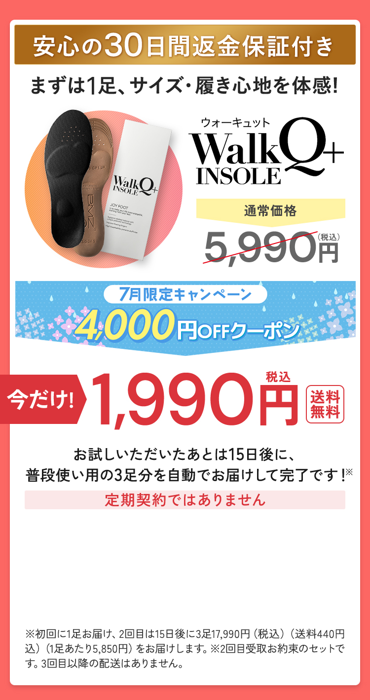 初回限定最安値を購入する