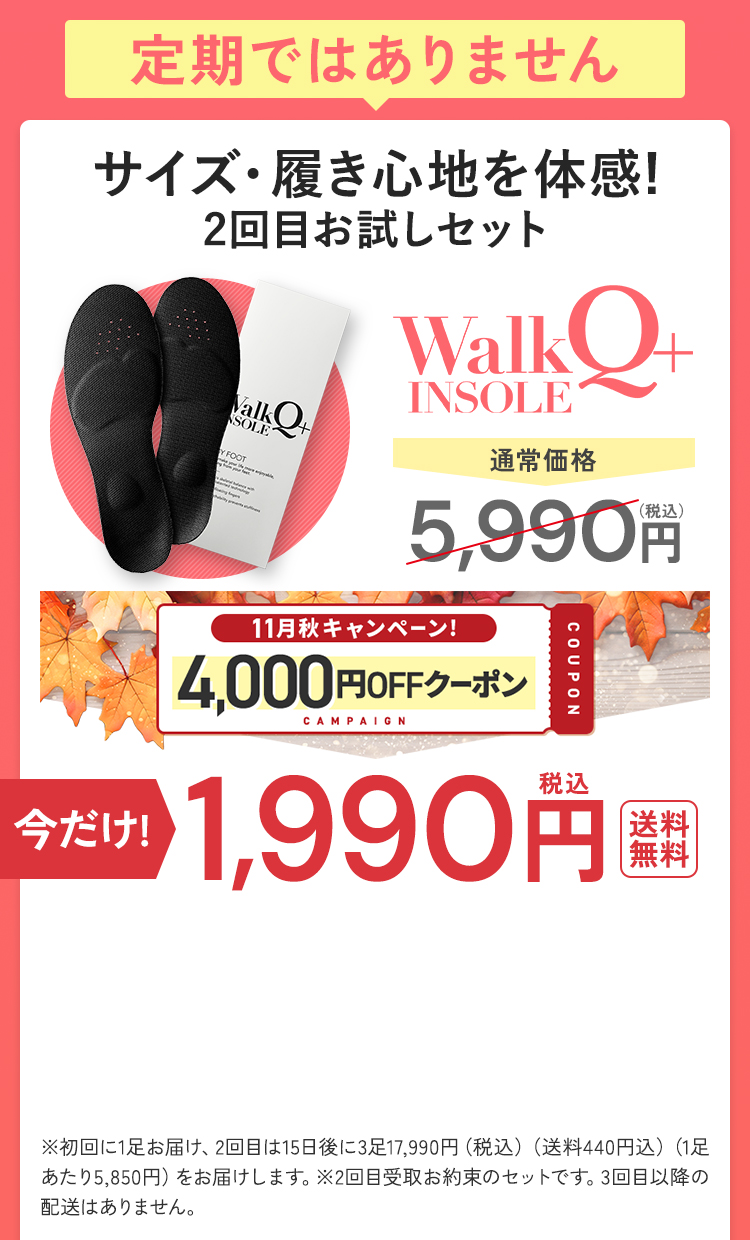 初回限定最安値を購入する