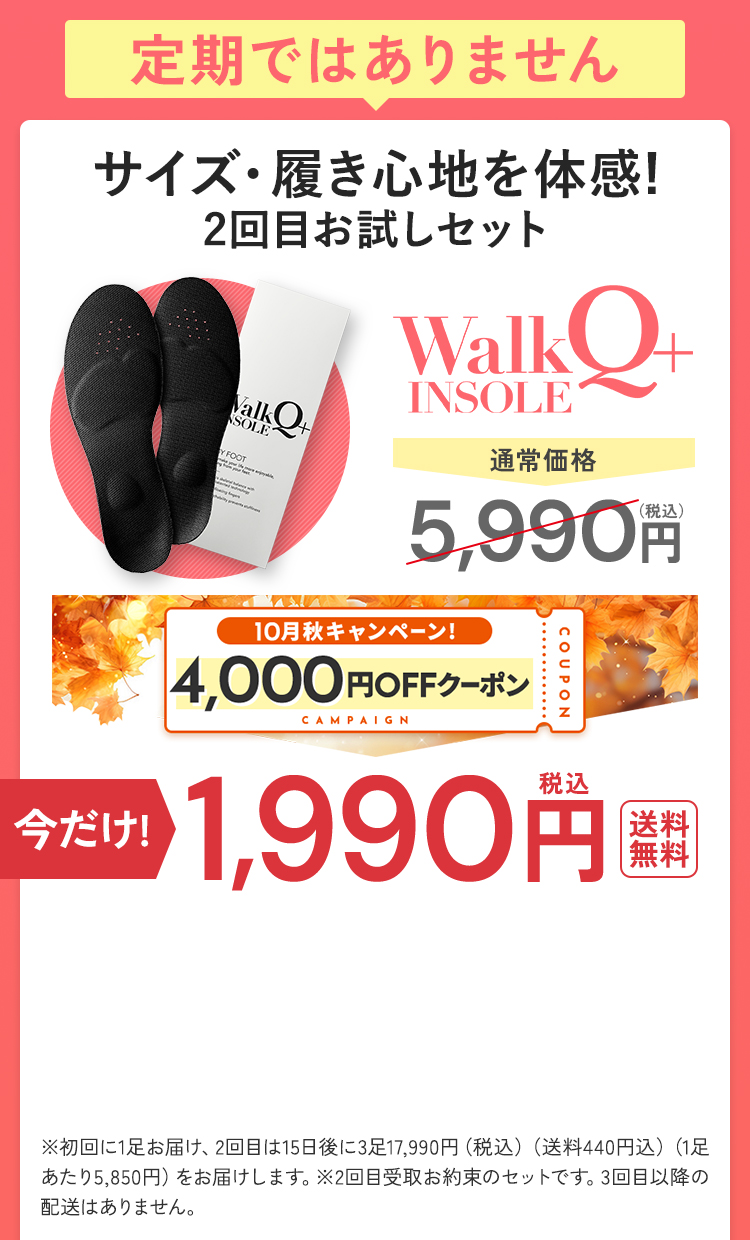 初回限定最安値を購入する