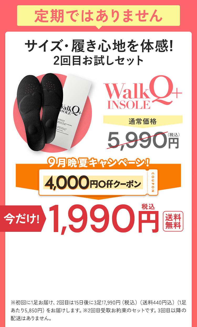 初回限定最安値を購入する