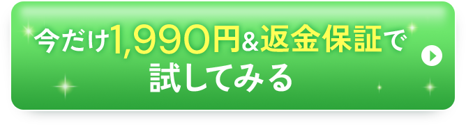 初回限定最安値を購入する!