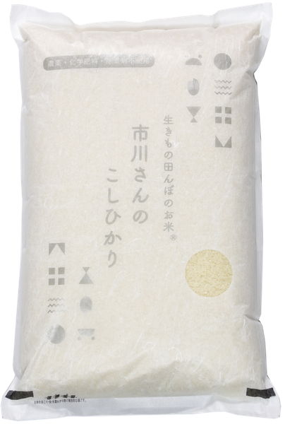 生きもの田んぼ こしひかり