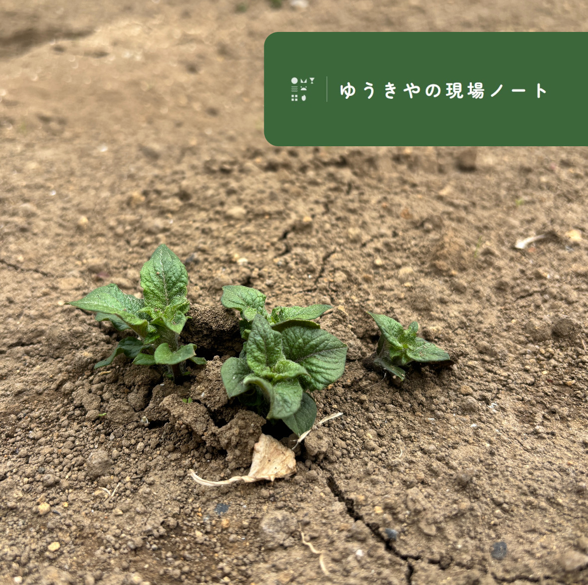 ゆうきやインスタ投稿3