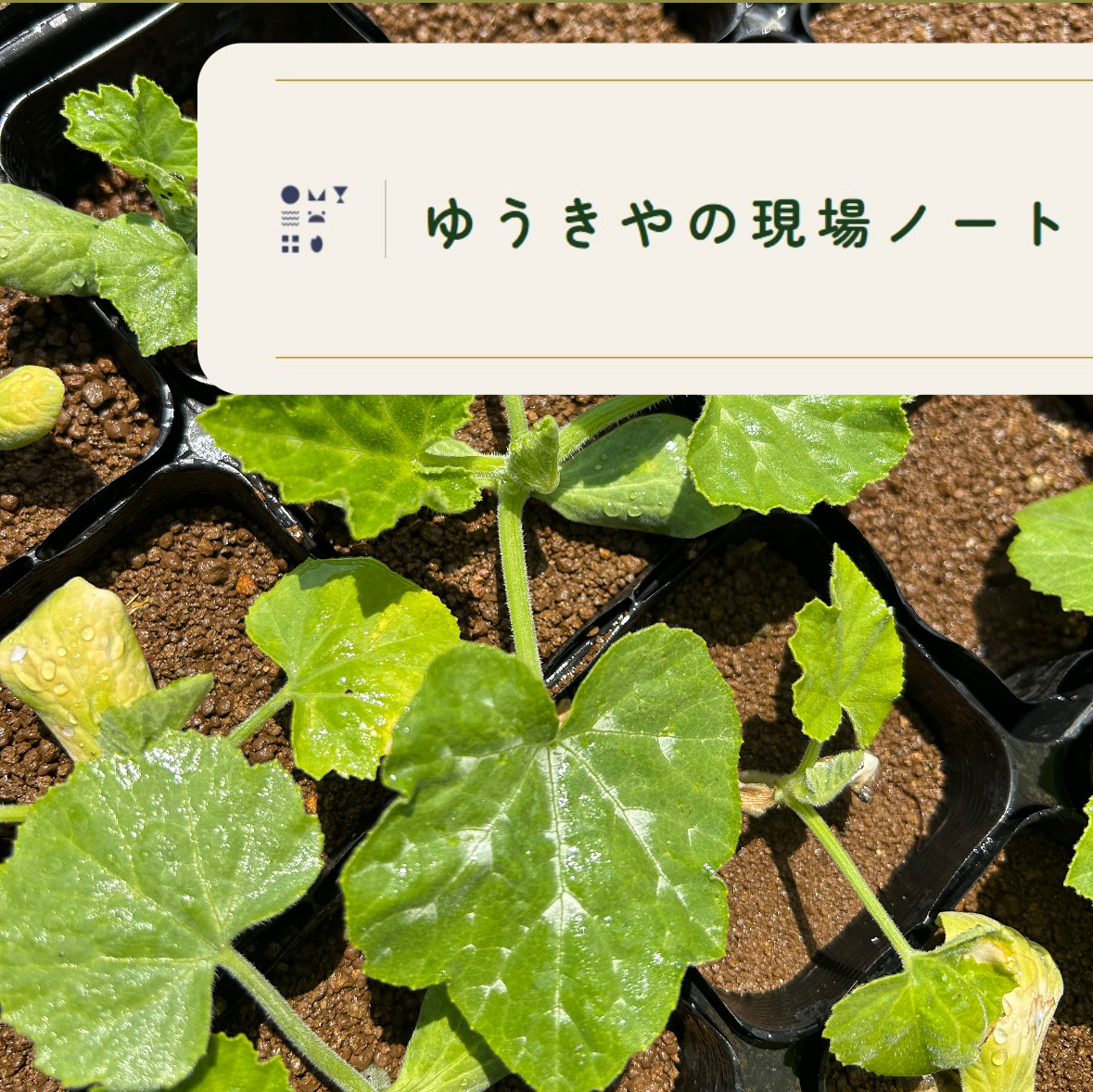 ゆうきやインスタ投稿3