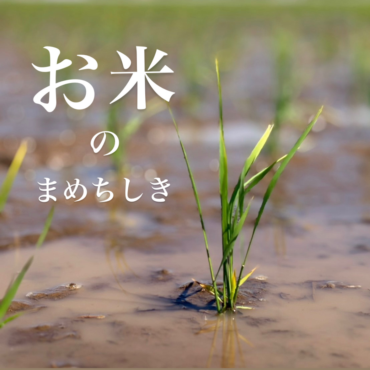 ゆうきやインスタ投稿2