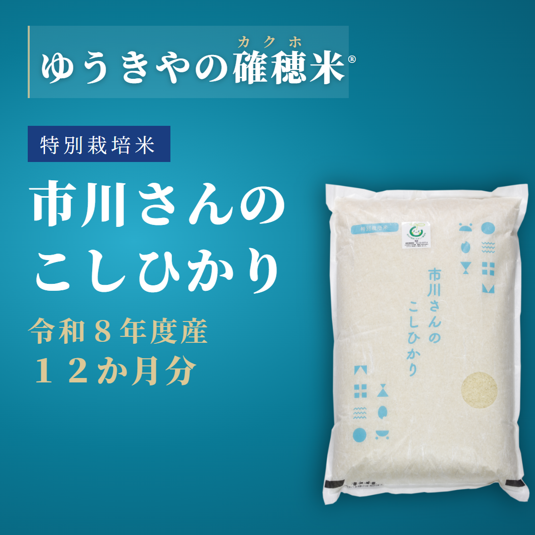 特別栽培米 こしひかり