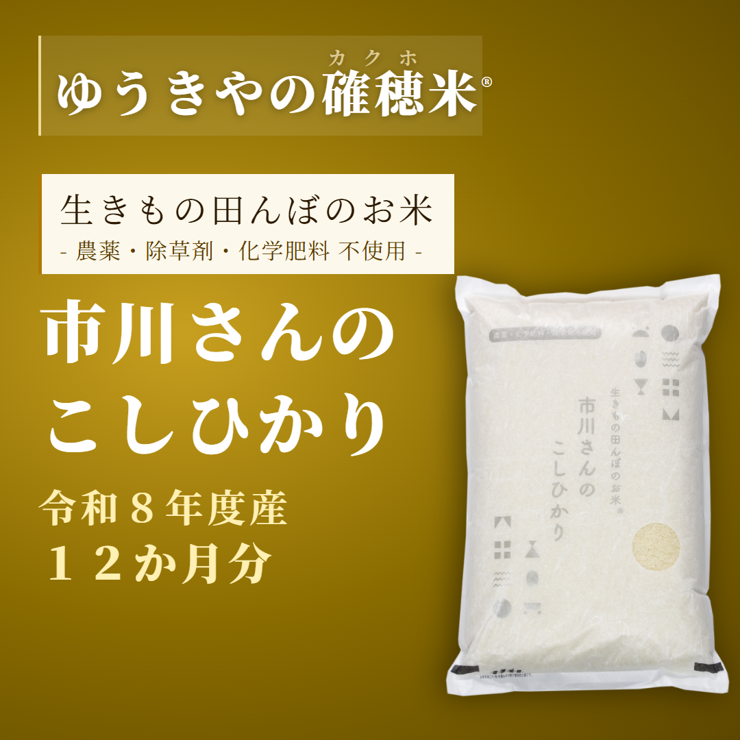 生きもの田んぼのお米 こしひかり
