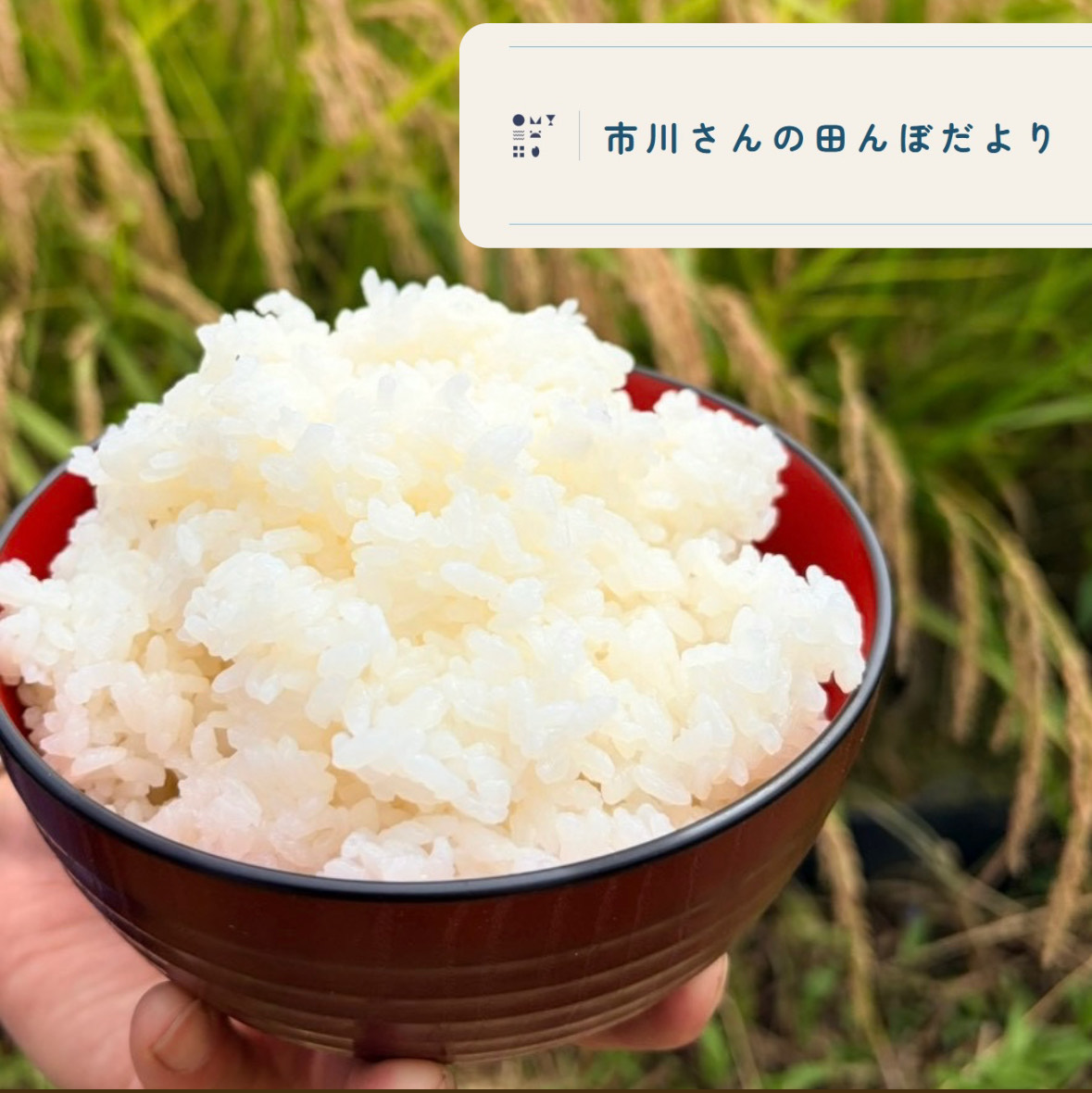 ゆうきやインスタ投稿1