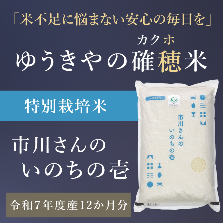 【ゆうきやの確穂米】- 特別栽培米 - 市川さんのいのちの壱（令和7年度産） 