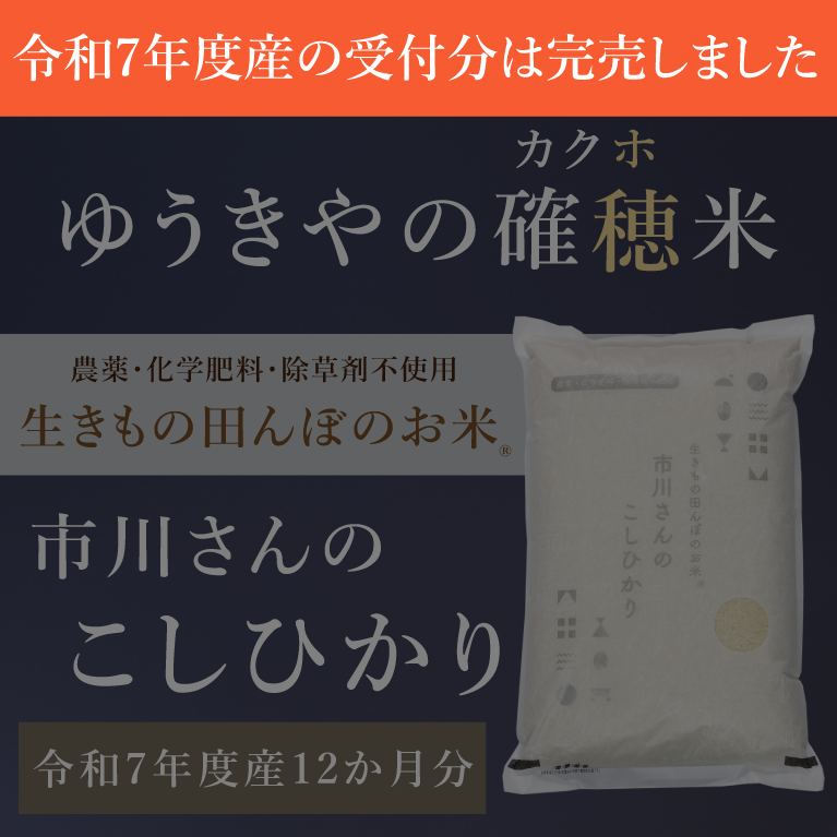 【ゆうきやの確穂米】- 生きもの田んぼのお米 - 市川さんのこしひかり（令和7年度産）