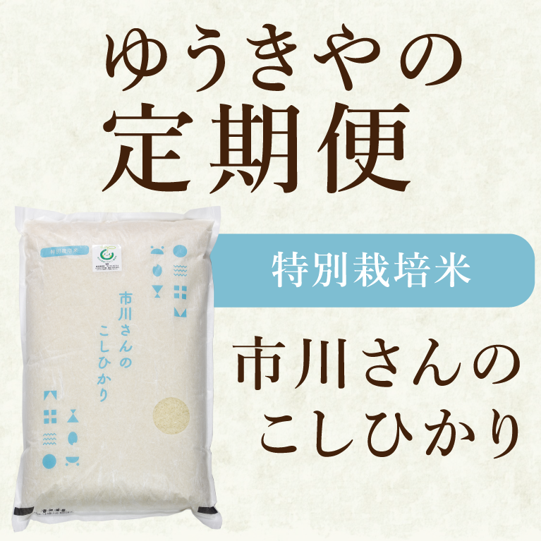 【定期便】- 特別栽培米 - 令和7年度産 市川さんのこしひかり 5kg ≪30日ごと配送≫