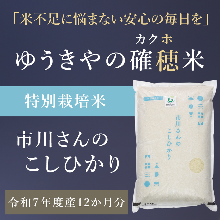 【ゆうきやの確穂米】- 特別栽培米 - 市川さんのこしひかり（令和7年度産） 