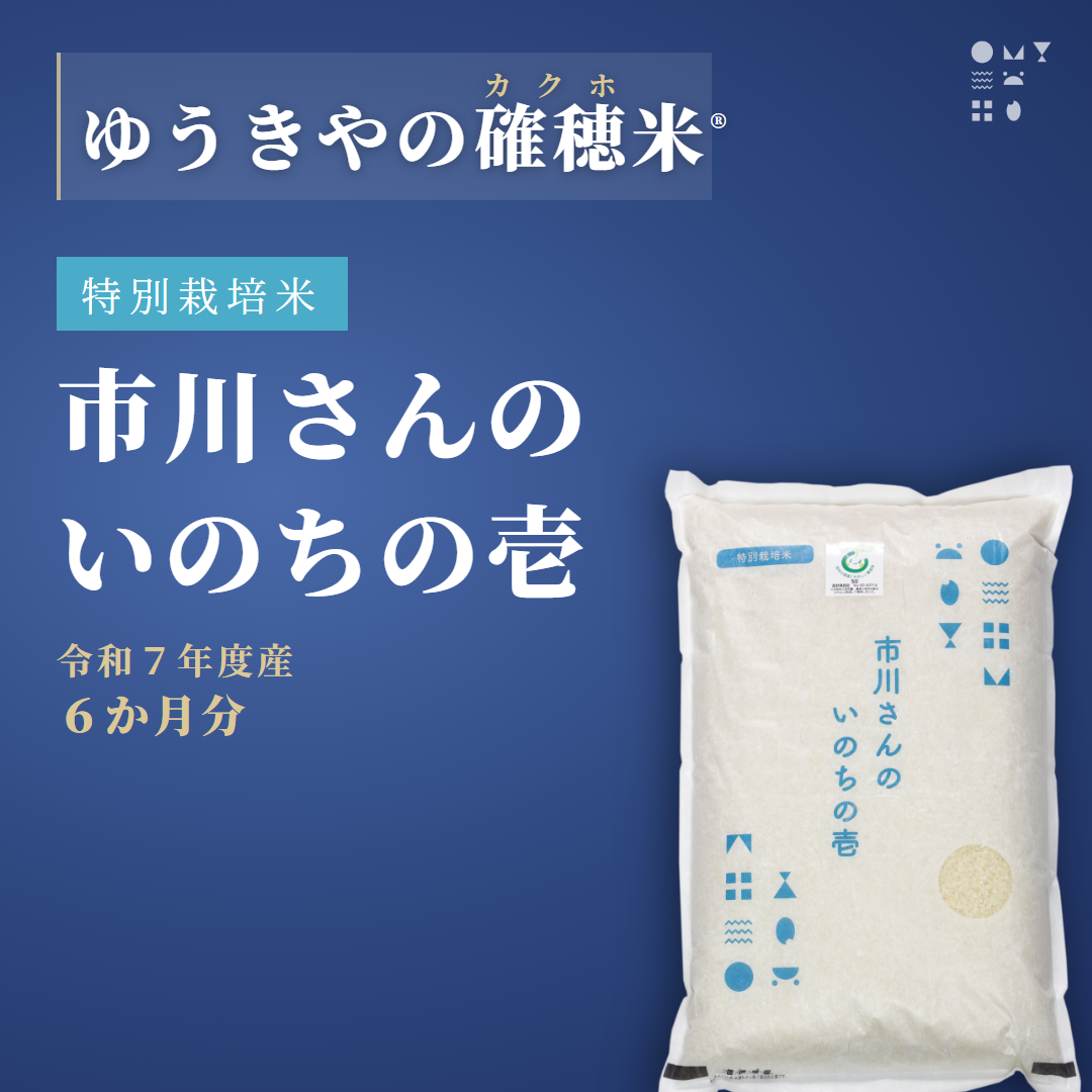 【確穂米】- 特別栽培米 - 市川さんのいのちの壱（令和7年度産・6か月分） 精米歩合: 白米, 購入キロ数: 毎月2kg（6か月合計12kg）
