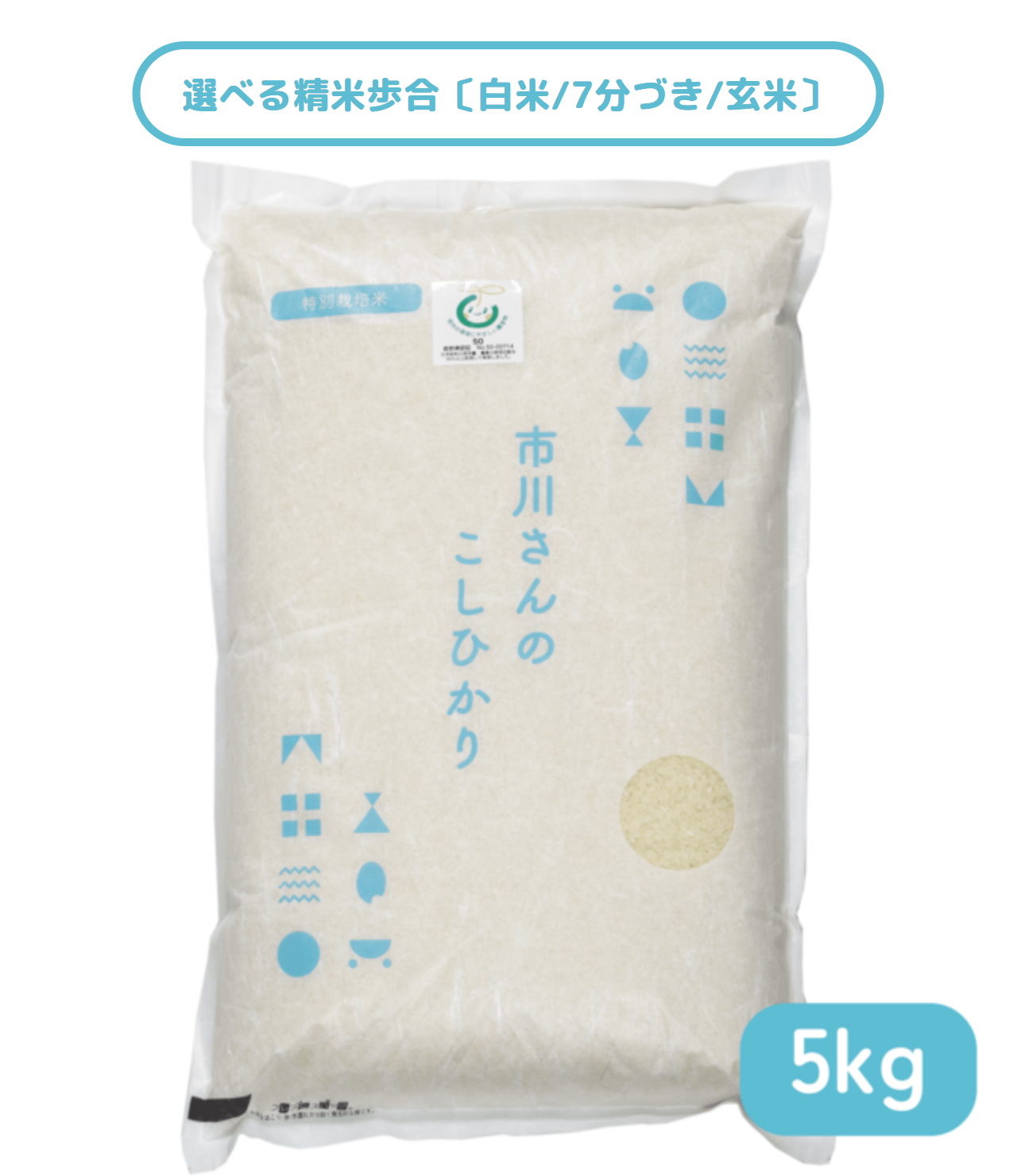 - 特別栽培米 - 令和7年度産 市川さんのこしひかり 5kg 精米歩合: 白米