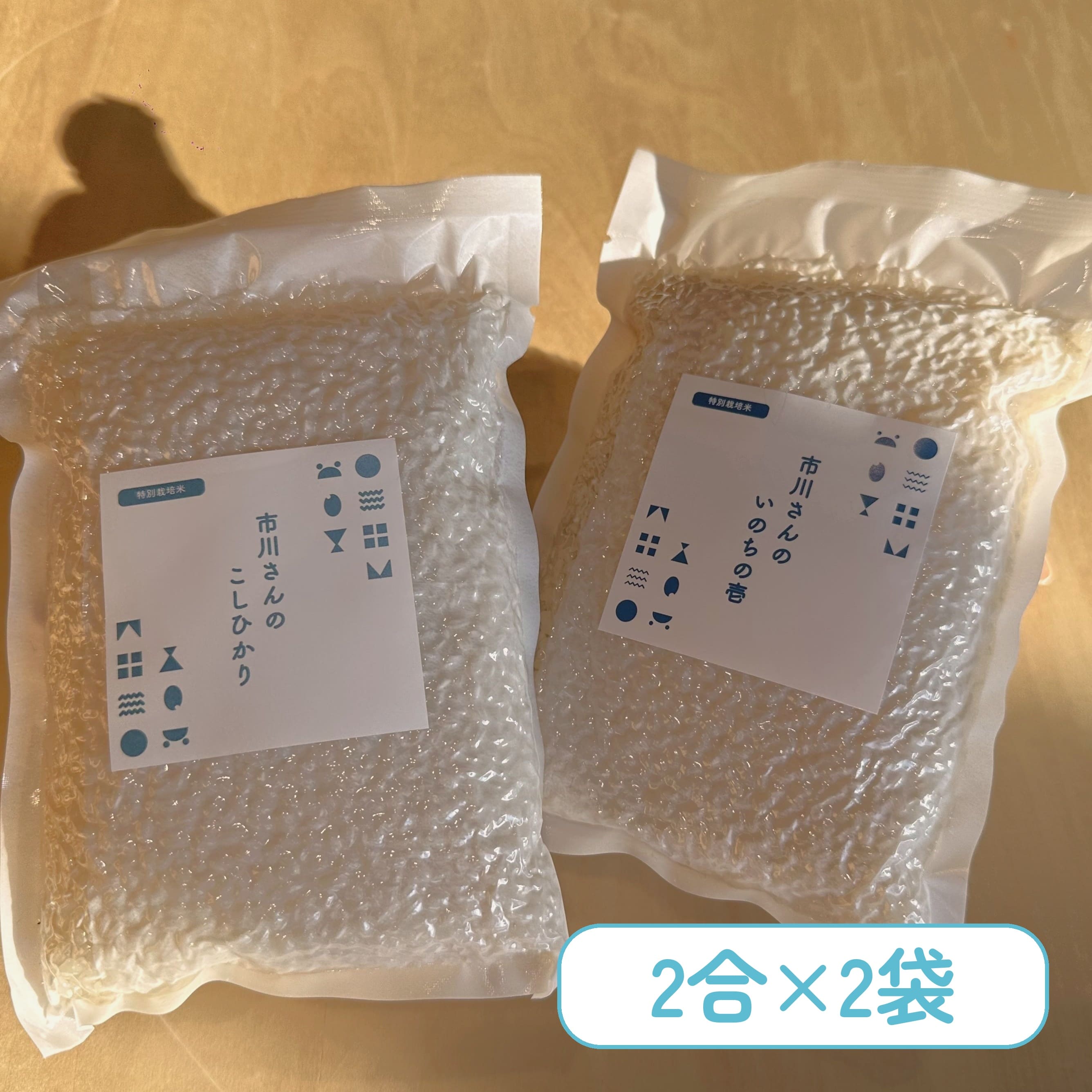 【お試しセット】- 特別栽培米 - 令和7年度産 市川さんのこしひかり・いのちの壱 （2合×各1袋入） お試しセット: 白米