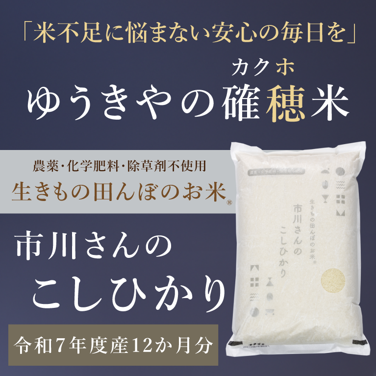 【ゆうきやの確穂米】- 生きもの田んぼのお米 - 市川さんのこしひかり（令和7年度産）
