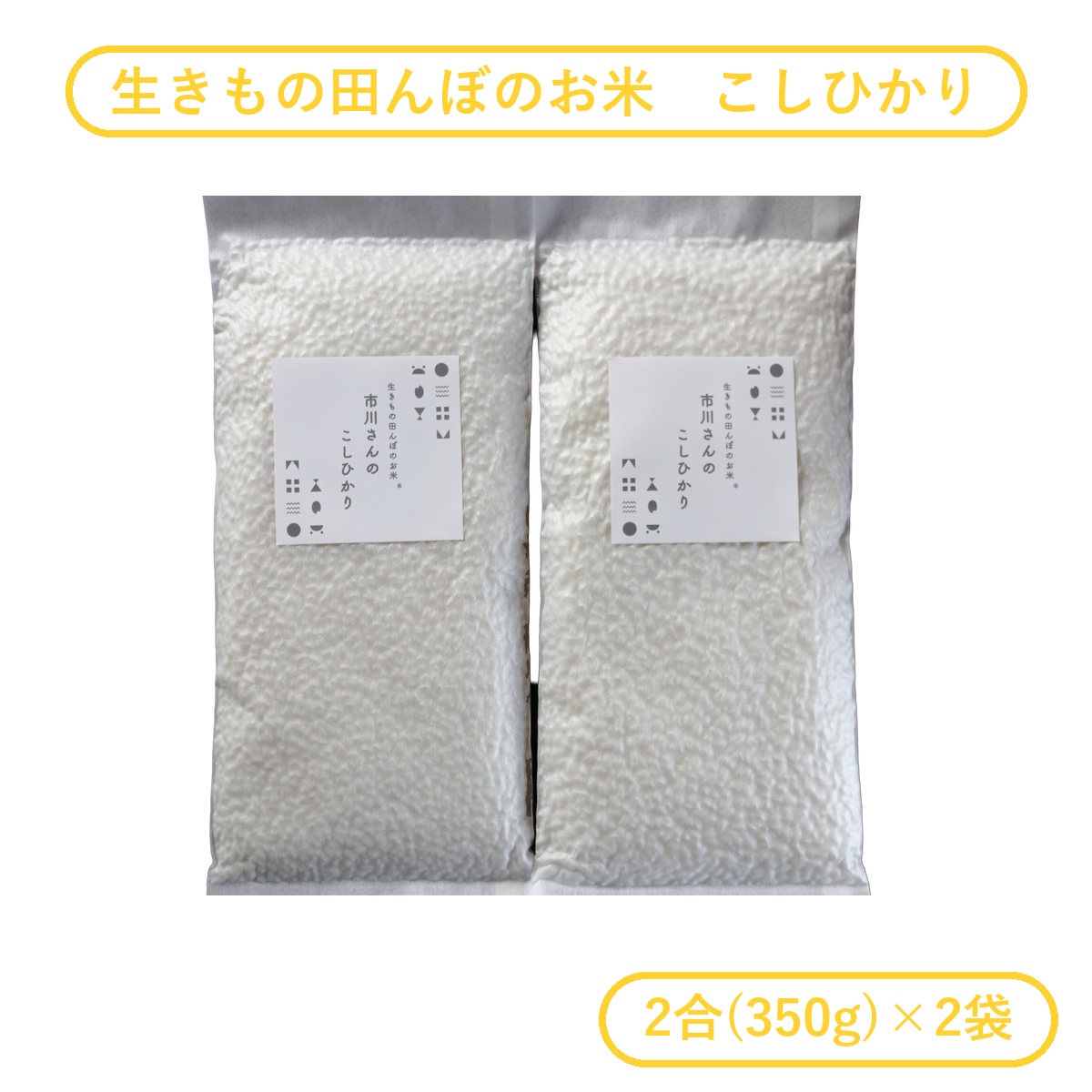 【お試しセット】- 生きもの田んぼ - 令和7年度産 市川さんのこしひかり （2合×2袋入） お試しセット: 生きもの田んぼこしひかり（白米2合×2袋）