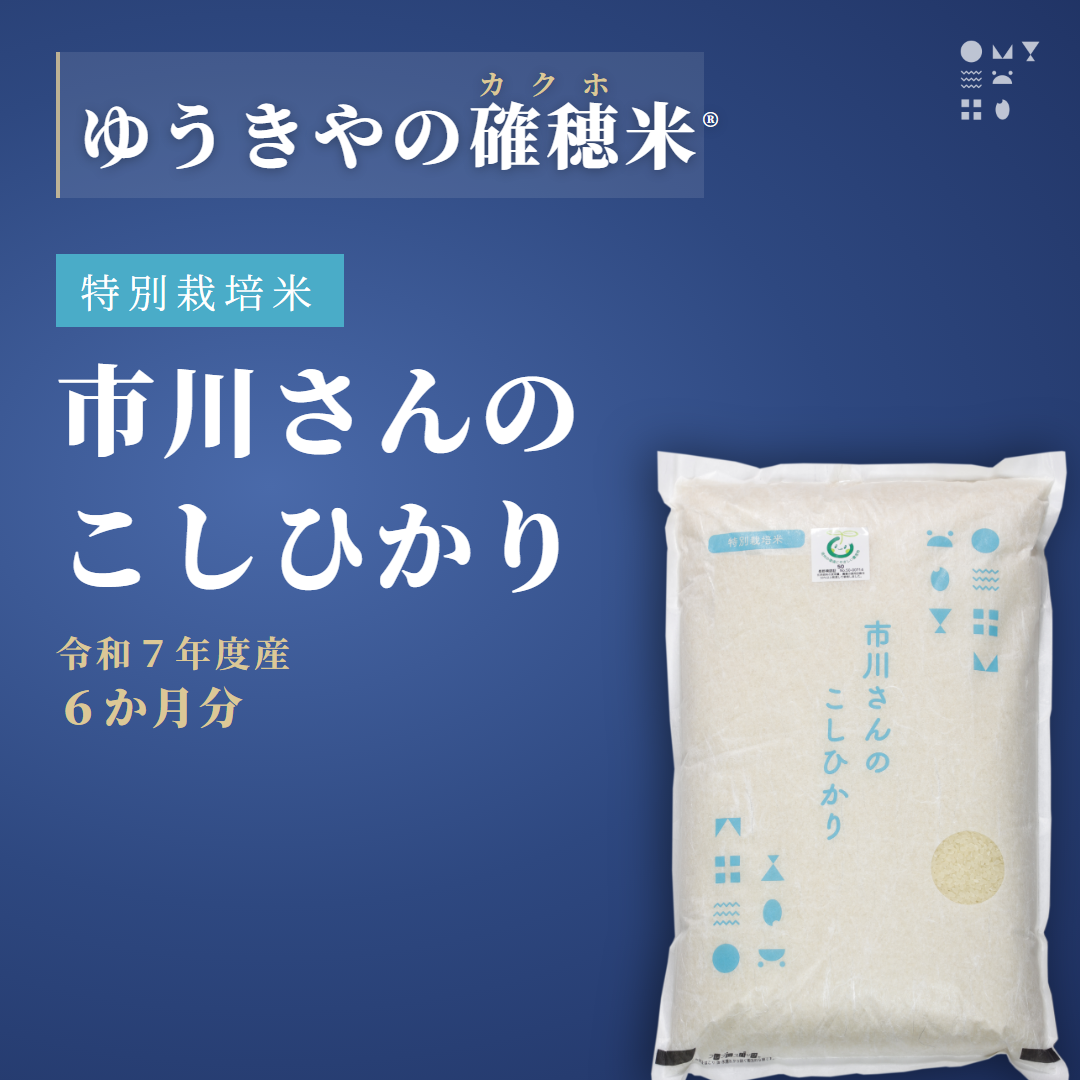 【確穂米】- 特別栽培米 - 市川さんのこしひかり（令和7年度産・6か月分） 精米歩合: 白米, 購入キロ数: 毎月2kg（6か月合計12kg）