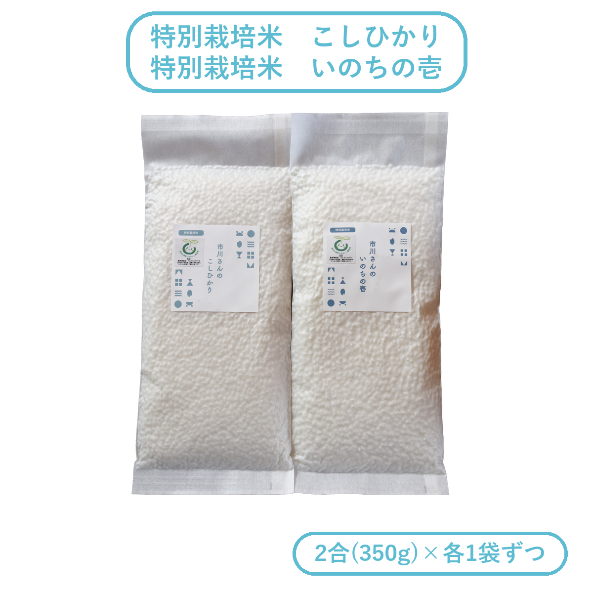 【お試しセット】- 特別栽培米 - 令和7年度産 市川さんのこしひかり・いのちの壱 （2合×各1袋入） お試しセット: 白米