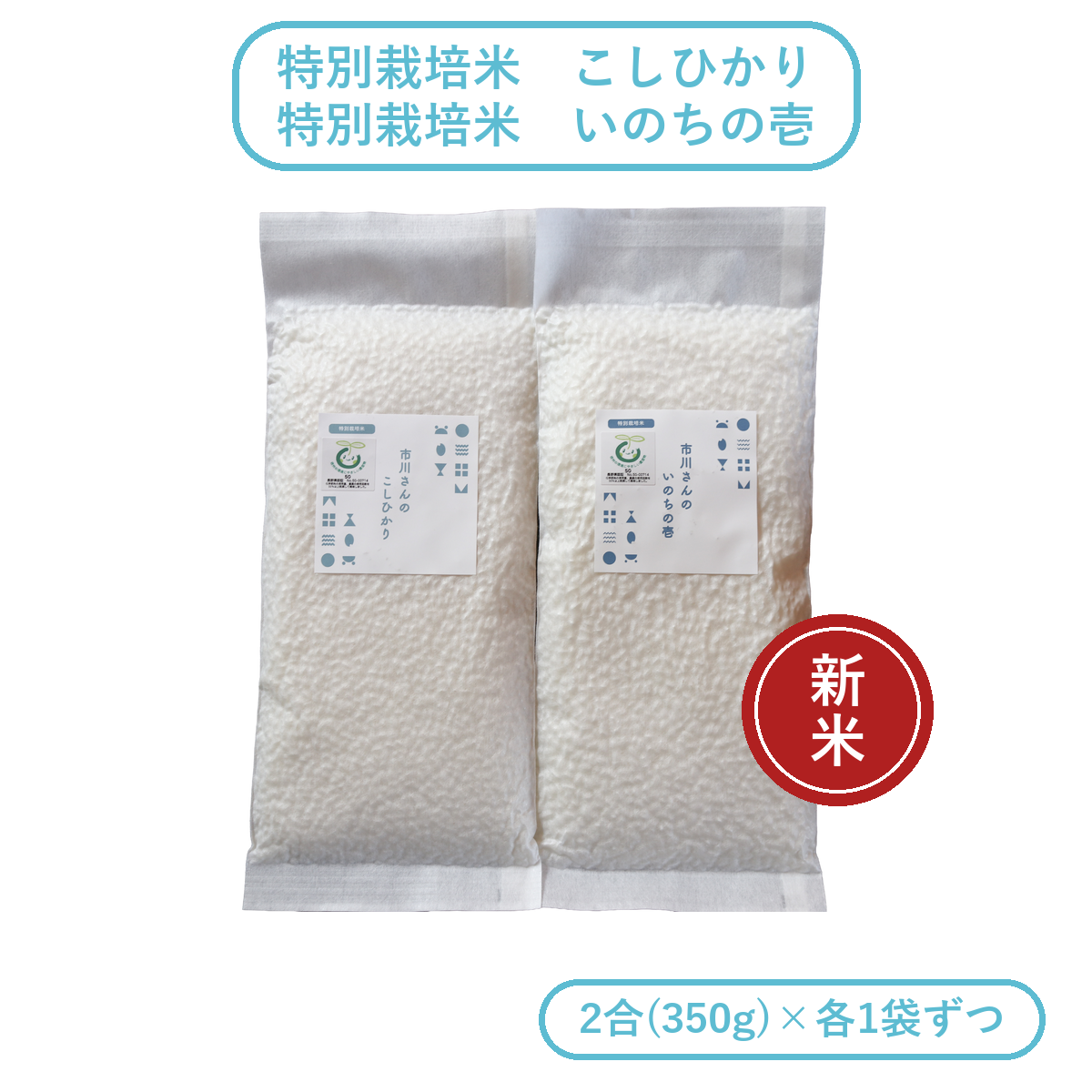 【お試しセット】- 特別栽培米 - 令和8年度産 市川さんのこしひかり・いのちの壱 （2合×各1袋入） お試しセット: 白米