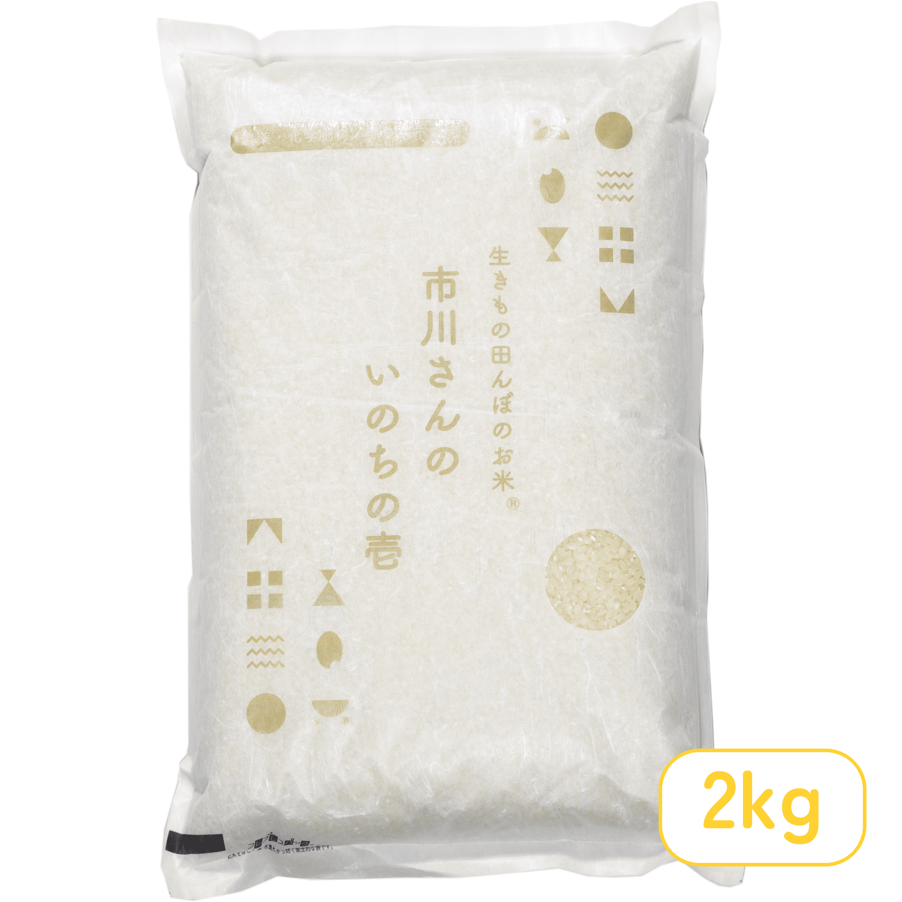 - 生きもの田んぼのお米- 令和7年度産 市川さんのいのちの壱　2kg 精米歩合: 白米