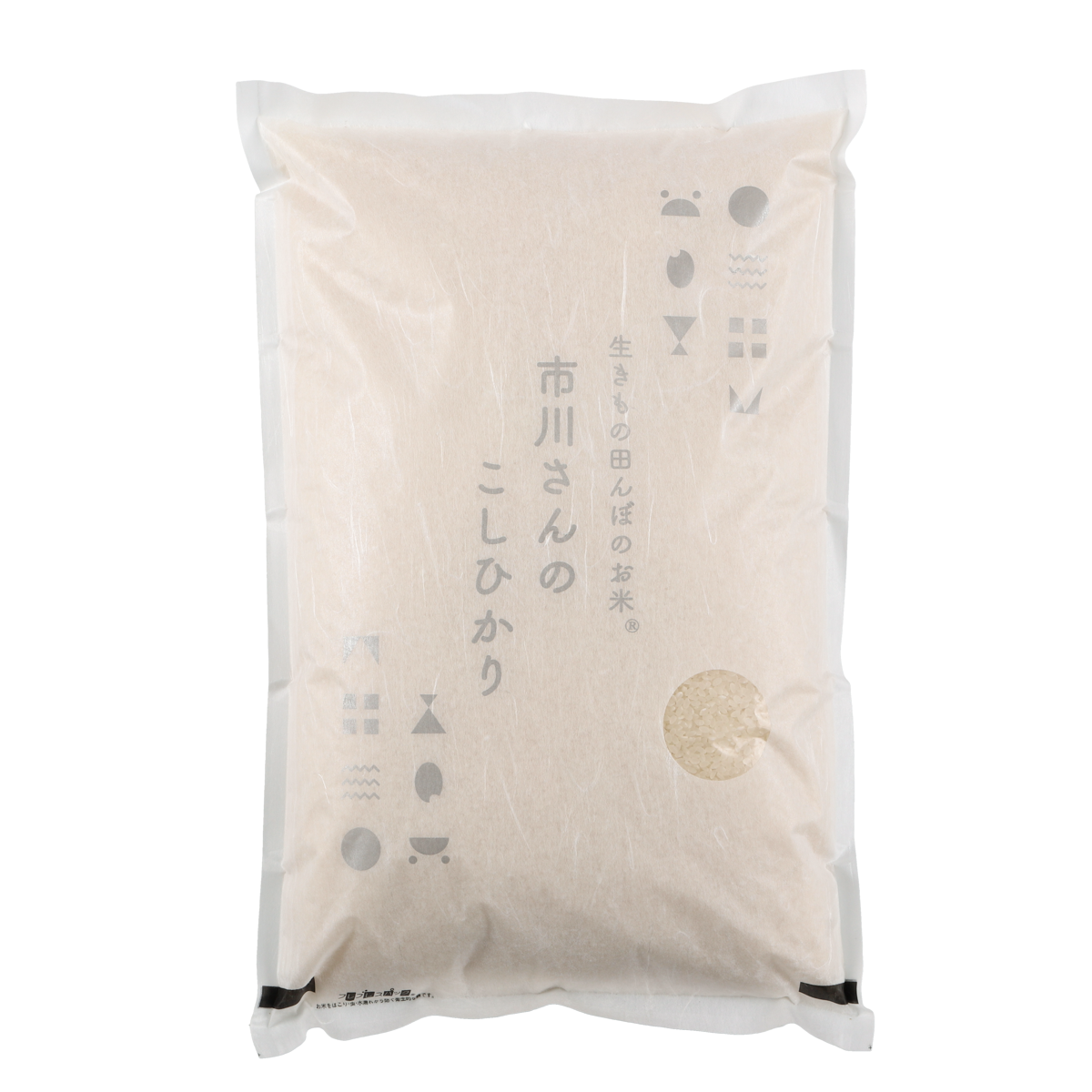 【定期便】 令和7年度産-生きもの田んぼのお米- 市川さんのこしひかり 5kg ≪毎月1日着≫	