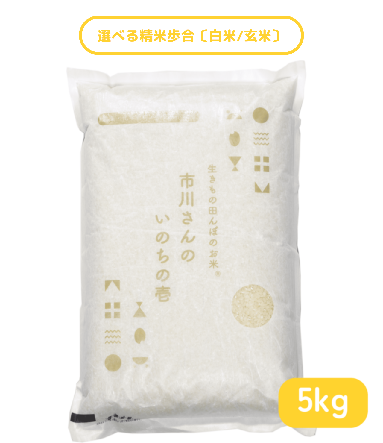 - 生きもの田んぼのお米- 令和7年度産 市川さんのいのちの壱 5kg 精米歩合: 白米