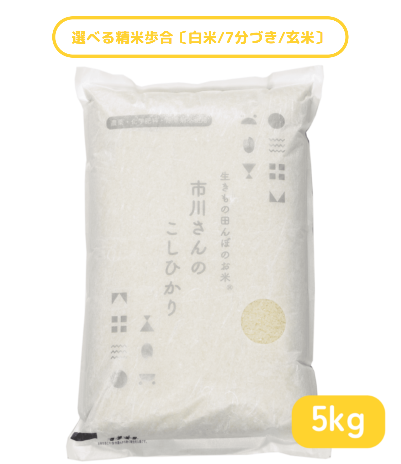 - 生きもの田んぼのお米 - 令和7年度産 市川さんのこしひかり　5kg 精米歩合: 白米