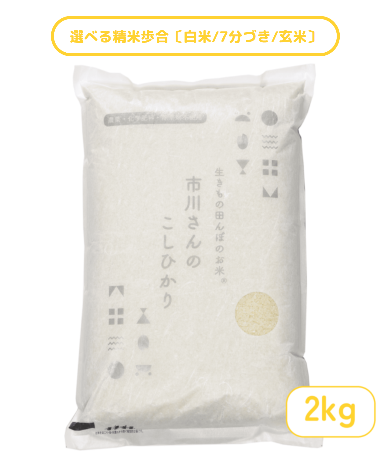 - 生きもの田んぼのお米 - 令和7年度産 市川さんのこしひかり　2kg 精米歩合: 白米