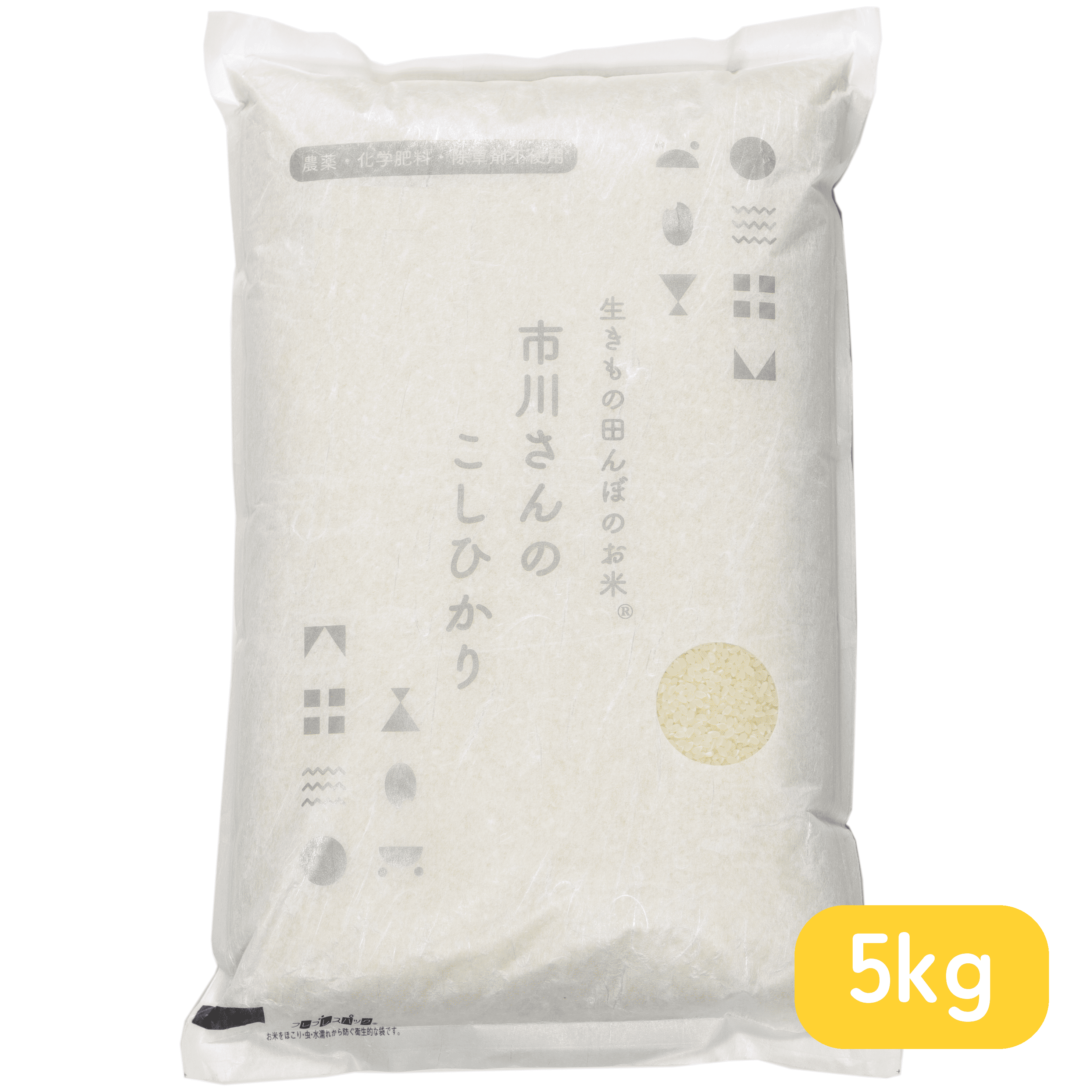 - 生きもの田んぼのお米 - 令和7年度産 市川さんのこしひかり　5kg 精米歩合: 白米