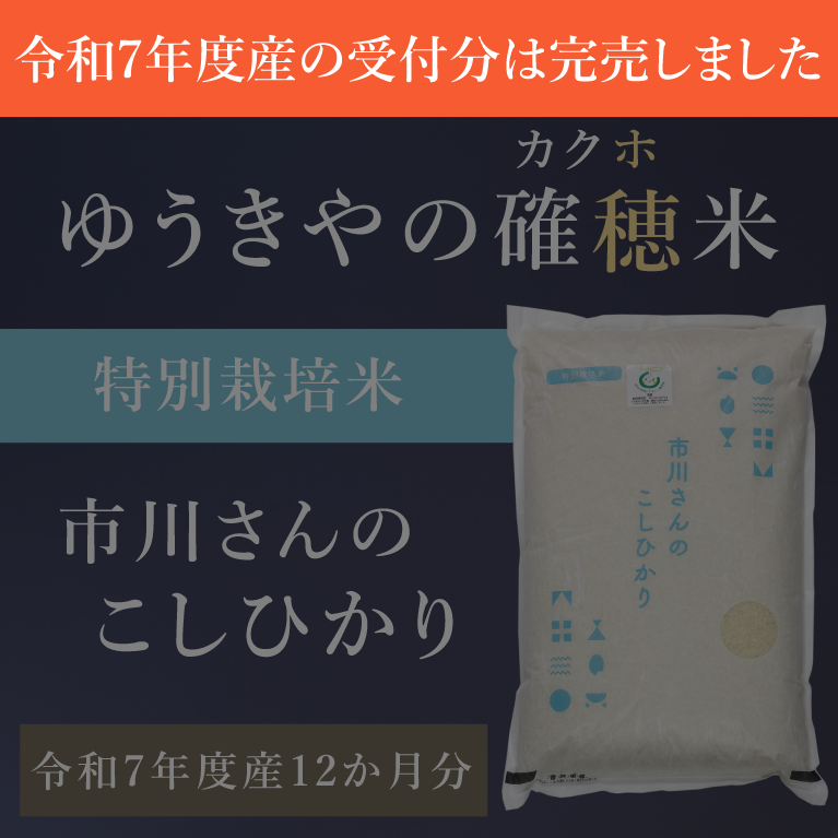 【ゆうきやの確穂米】- 特別栽培米 - 市川さんのこしひかり（令和7年度産） 