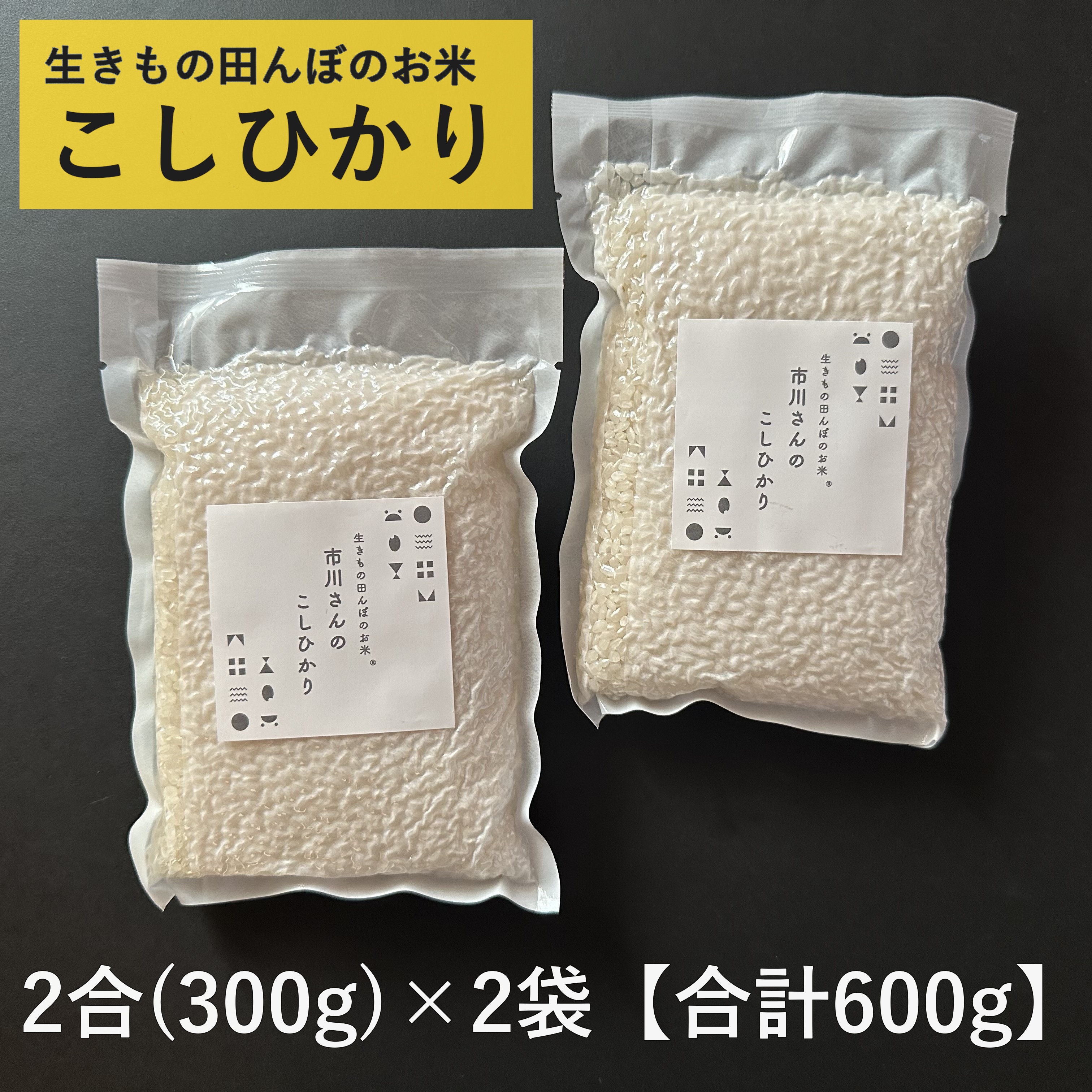 【お試しセット】- 生きもの田んぼ - 令和7年度産 市川さんのこしひかり （2合×2袋入） お試しセット: 生きもの田んぼこしひかり（白米2合×2袋）