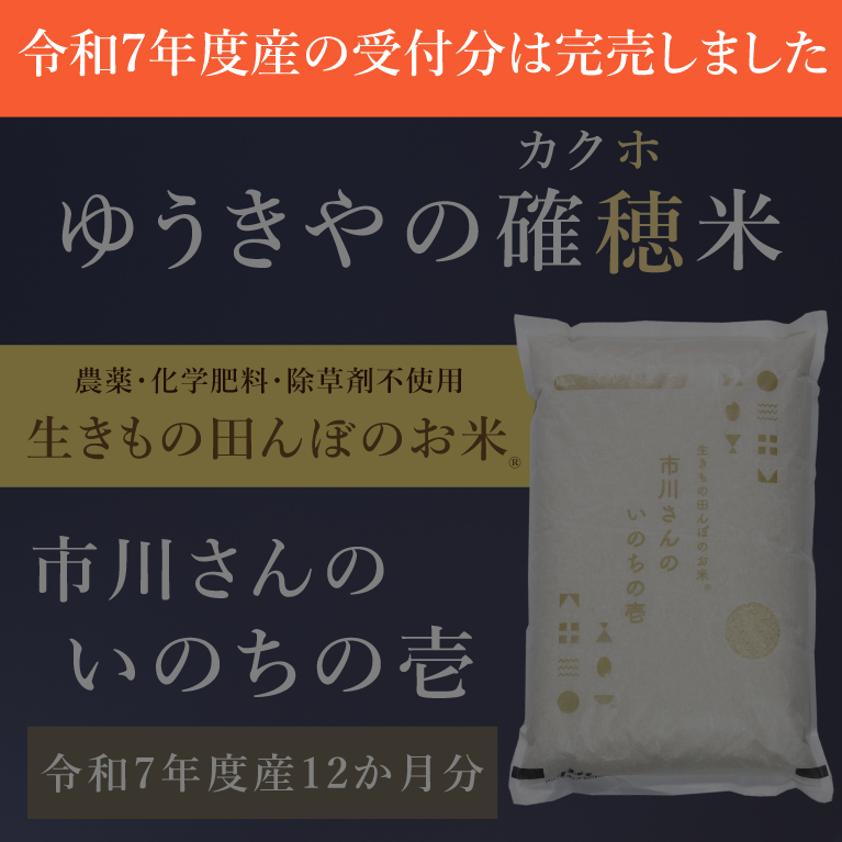 【ゆうきやの確穂米】- 生きもの田んぼのお米 - 市川さんのいのちの壱（令和7年度産）