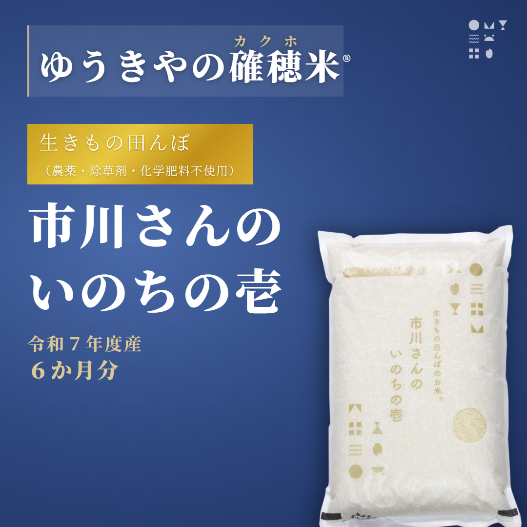【確穂米】- 生きもの田んぼ（農薬・除草剤・化学肥料不使用） - 市川さんのいのちの壱（令和7年度産・6か月分） 精米歩合: 白米, 購入キロ数: 毎月2kg（6か月合計12kg）