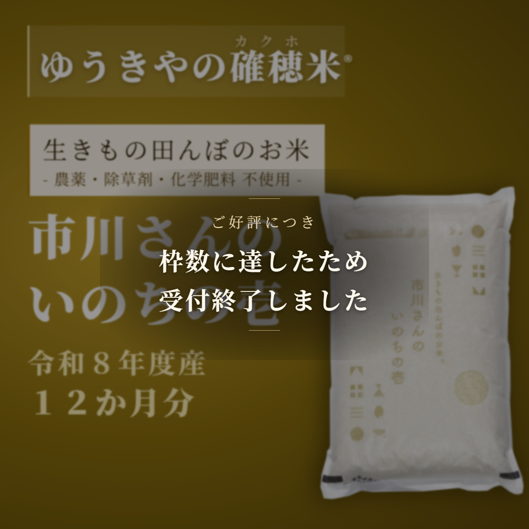 【確穂米】- 生きもの田んぼのお米 - 市川さんのいのちの壱（令和8年度産・12か月分） 精米歩合: 白米, 購入キロ数: 毎月2kg（12か月合計24kg）