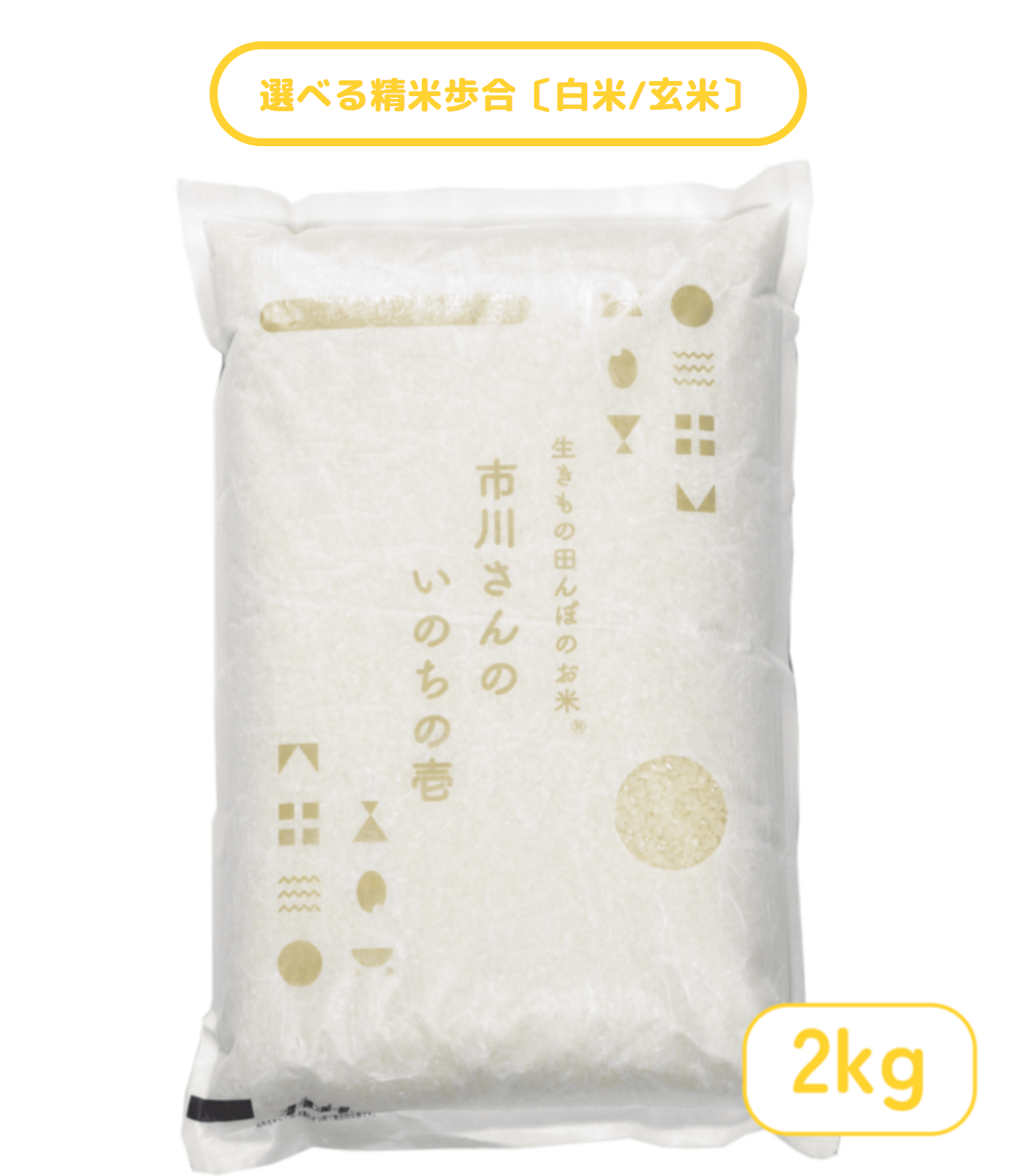 - 生きもの田んぼのお米- 令和7年度産 市川さんのいのちの壱　2kg 精米歩合: 白米